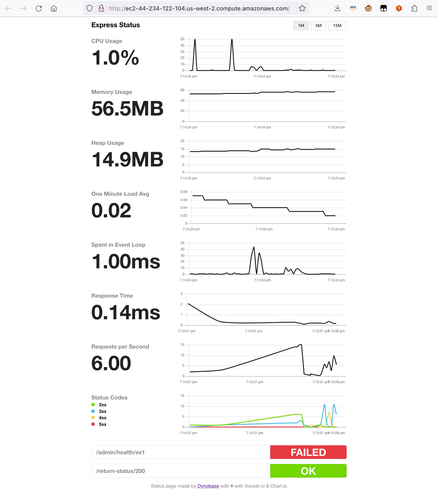 NGINX Web application server status 